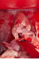 RAW meat pork viscera 0022